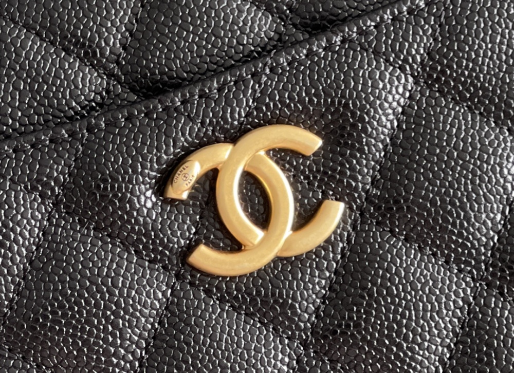 Chanel 22s camera bag Mirror Boutique
