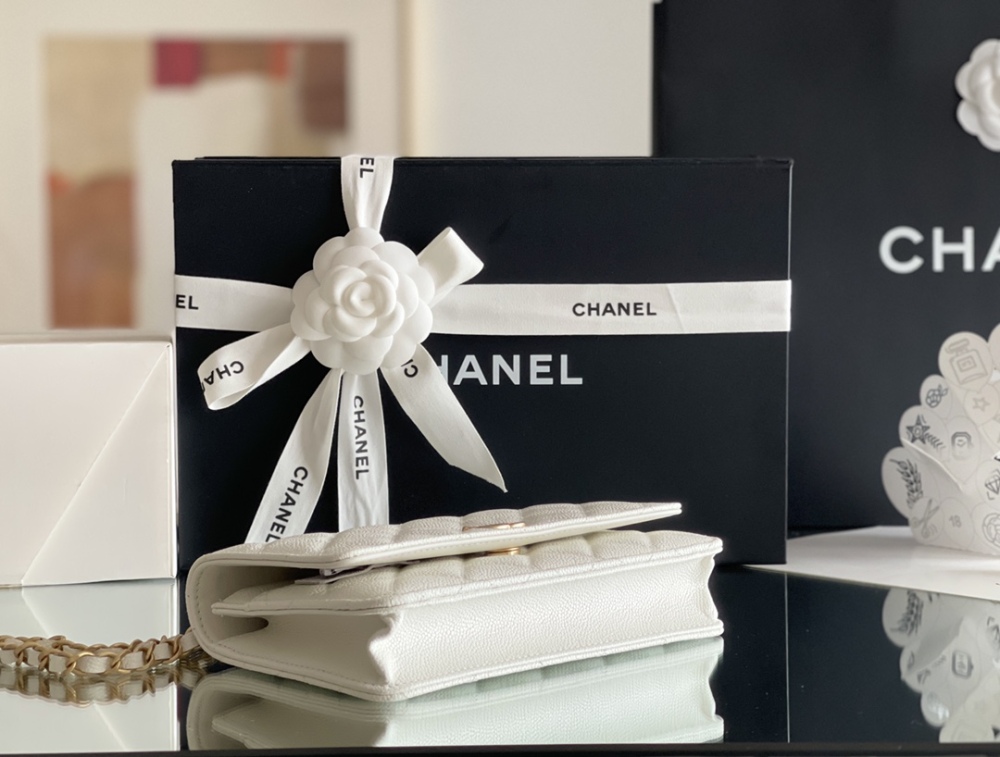 Chanel 22s WOC Mirror Boutique
