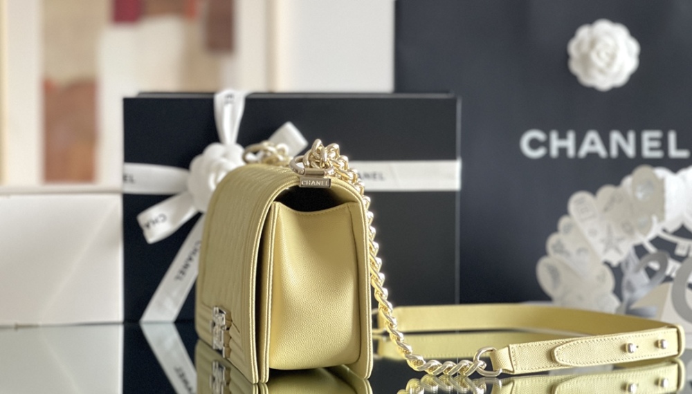 Chanel Leboy MM 25cm Mirror Boutique