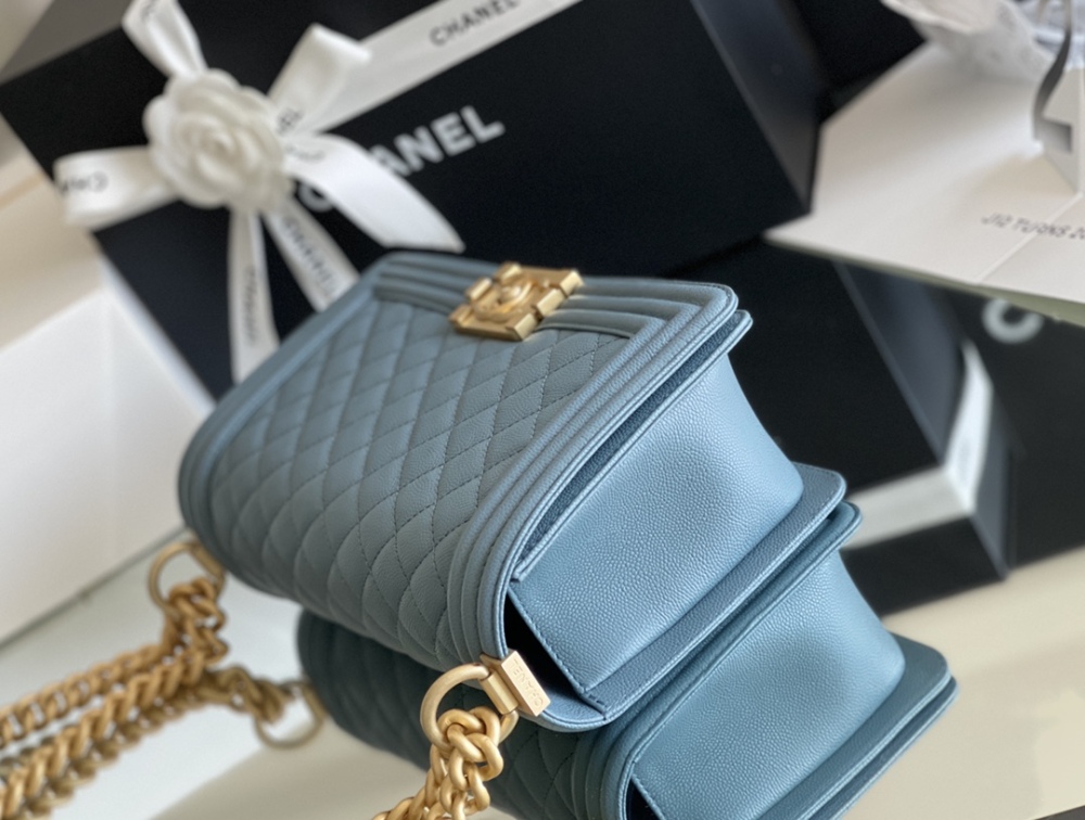Chanel Leboy MM 25cm Mirror Boutique
