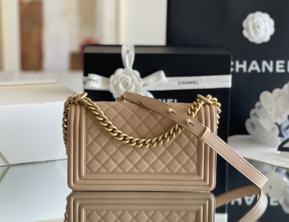 Chanel Leboy MM 25cm Mirror Boutique