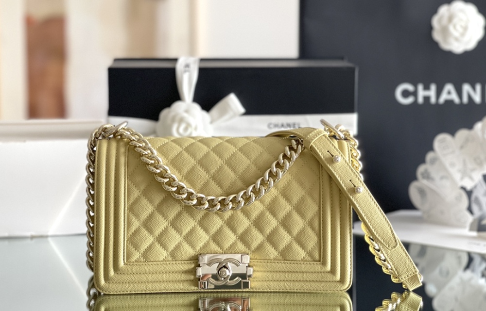 Chanel Leboy MM 25cm Mirror Boutique