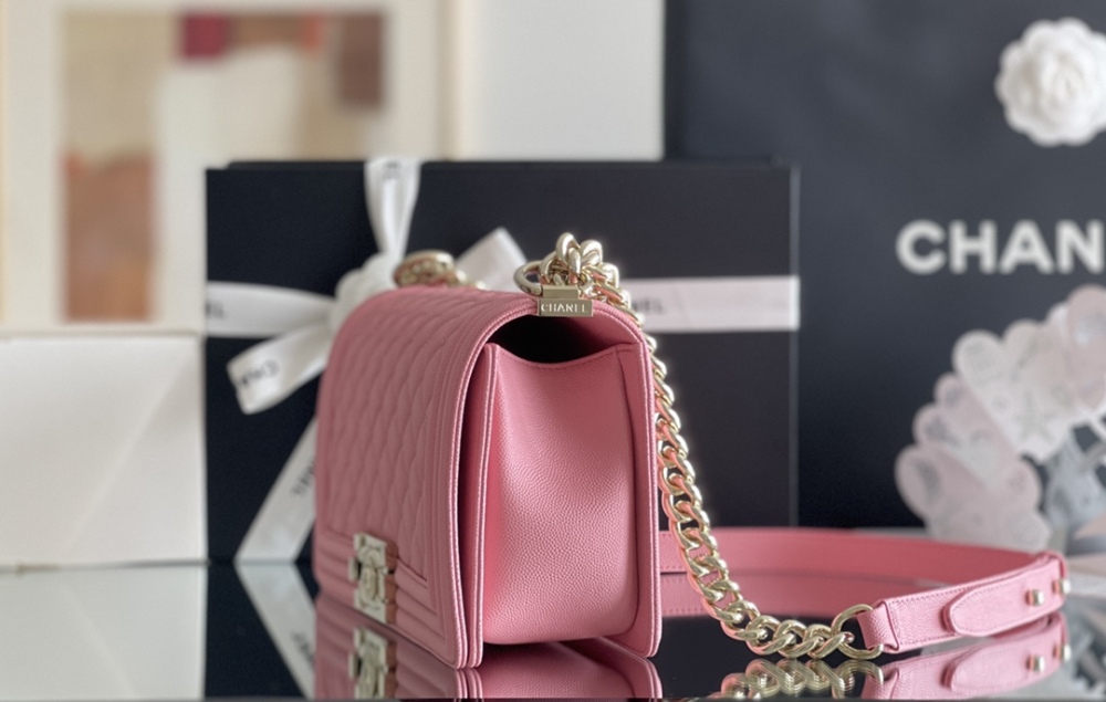 Chanel Leboy MM 25cm Mirror Boutique