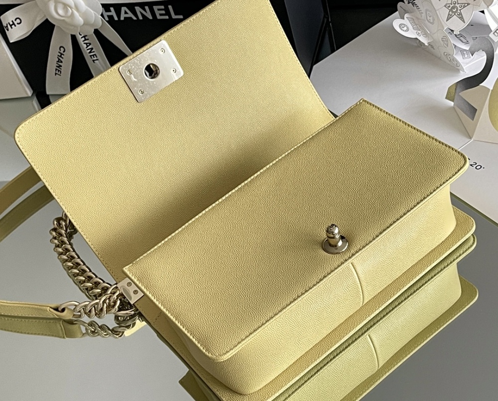 Chanel Leboy MM 25cm Mirror Boutique