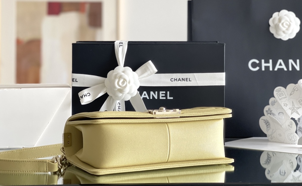 Chanel Leboy MM 25cm Mirror Boutique
