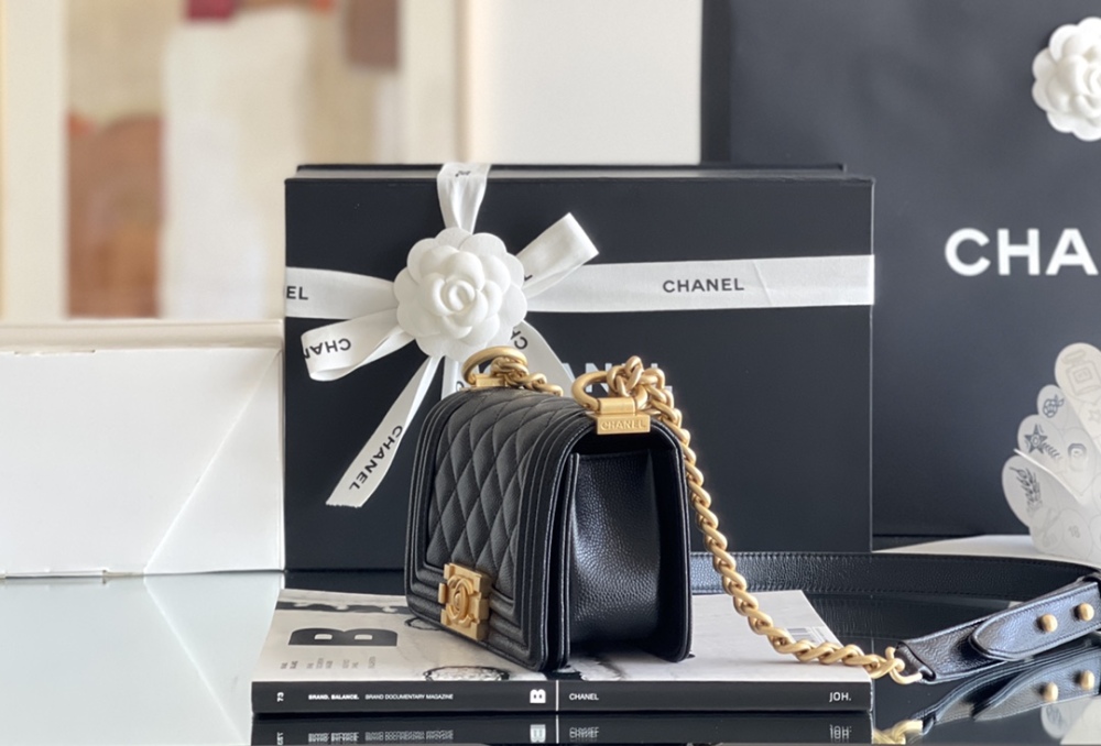 Chanel 𝗠𝗶𝗻𝗶 𝗟𝗲𝗯𝗼𝘆 22S Mirror Boutique