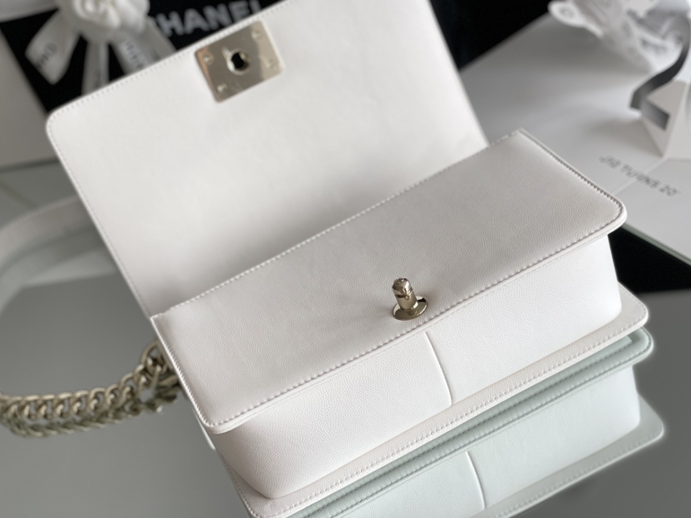 Chanel Leboy MM 25cm Mirror Boutique