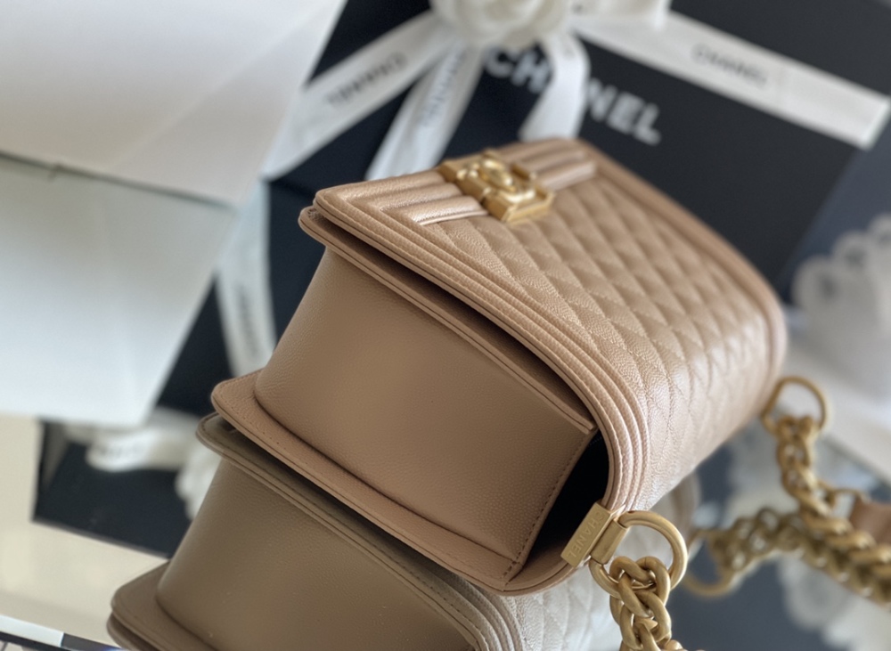 Chanel Leboy MM 25cm Mirror Boutique