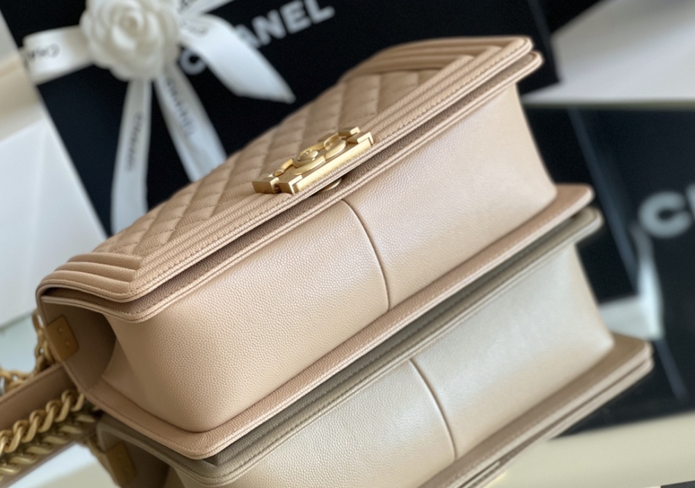 Chanel Leboy MM 25cm Mirror Boutique