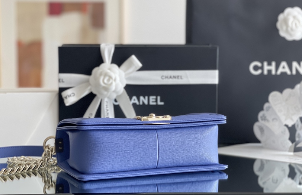Chanel Leboy MM 25cm Mirror Boutique