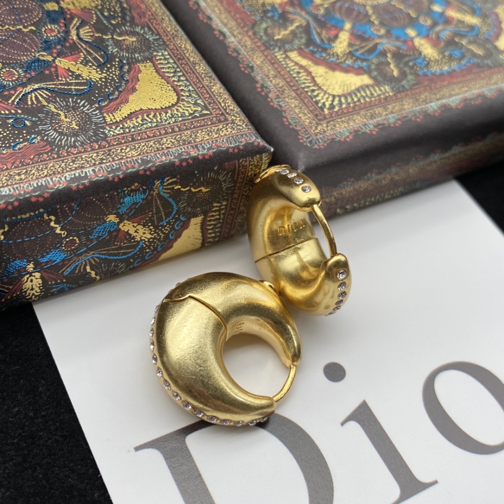 DIOR stud earrings