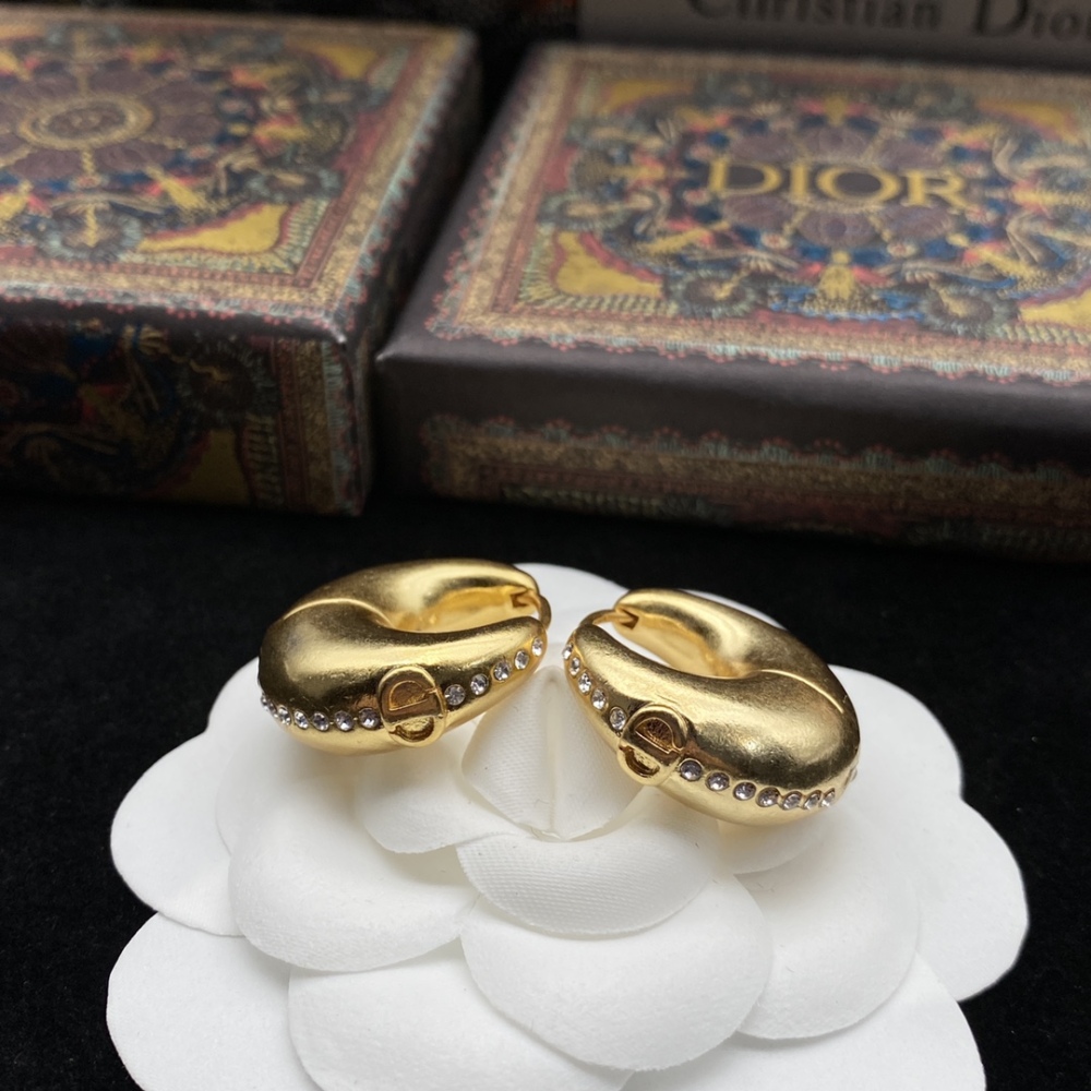 DIOR stud earrings