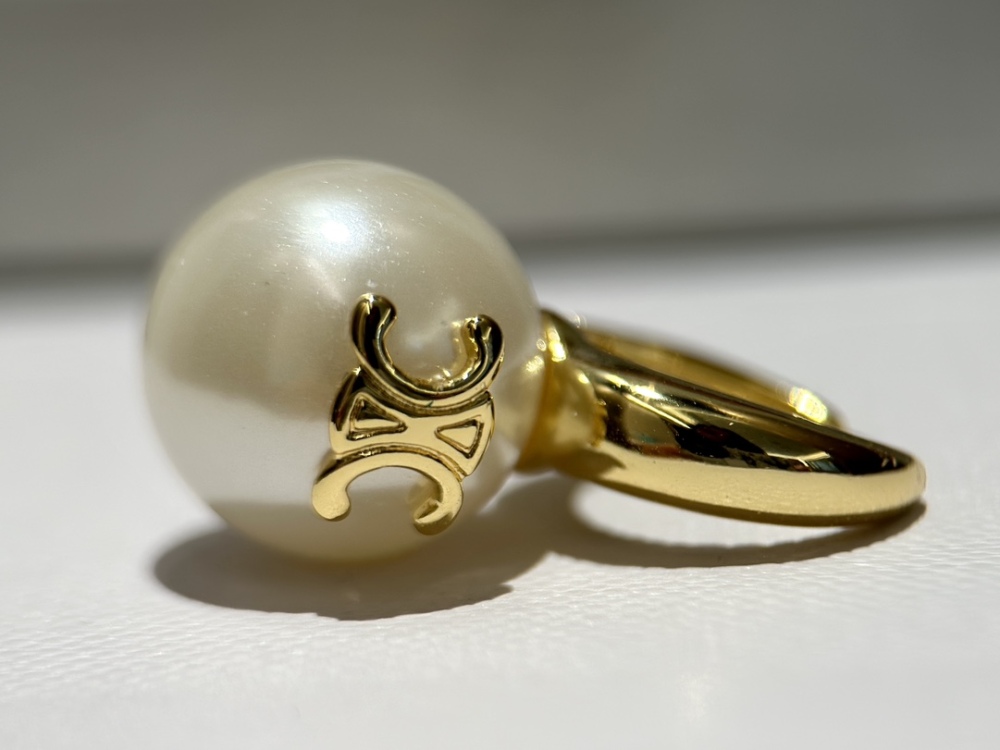 Celine earrings