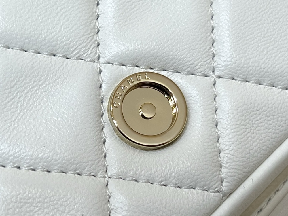 Chanel 22A Duma  backpack Genuine level（99%）