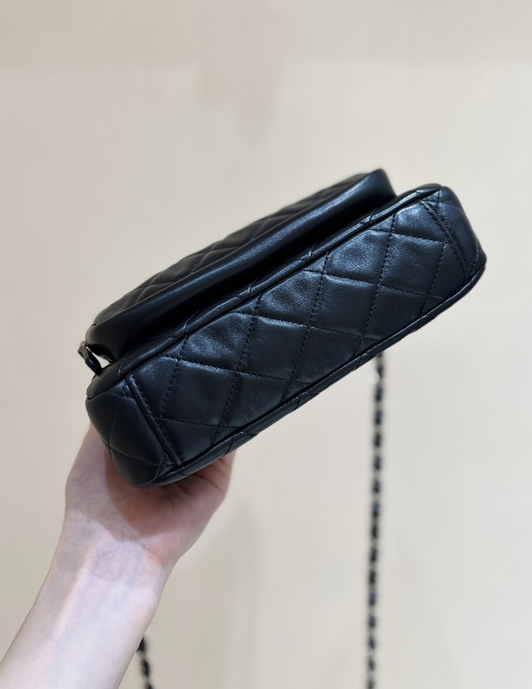 Chanel 25C Cruise camera bag Genuine level（99%）
