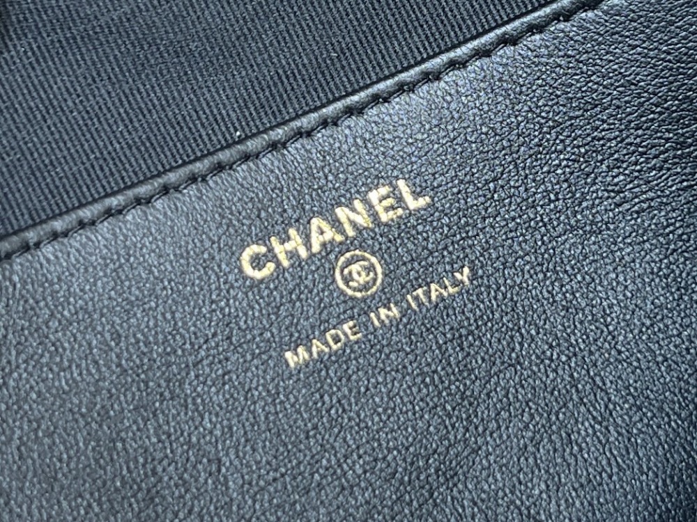 Chanel 25C Cruise camera bag Genuine level（99%）