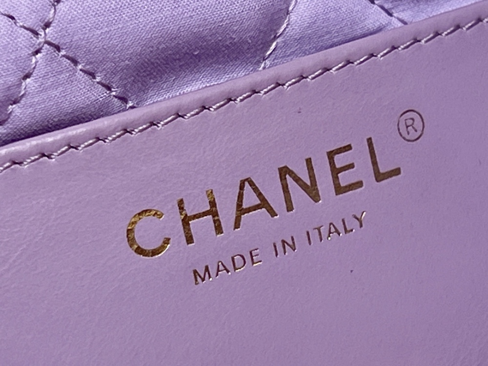 Chanel 25S mini 22 bag Genuine level（99%）