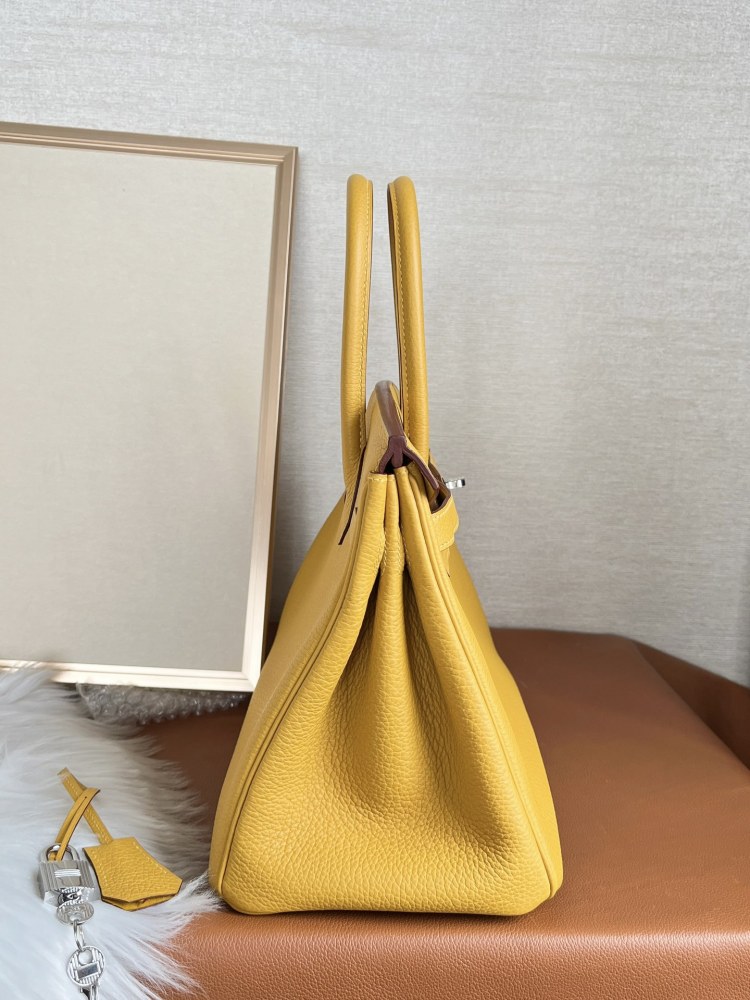 Hermès 𝗯𝗶𝗿𝗸𝗶𝗻 30cm Togo 9D Full Handmade Mirror Boutique