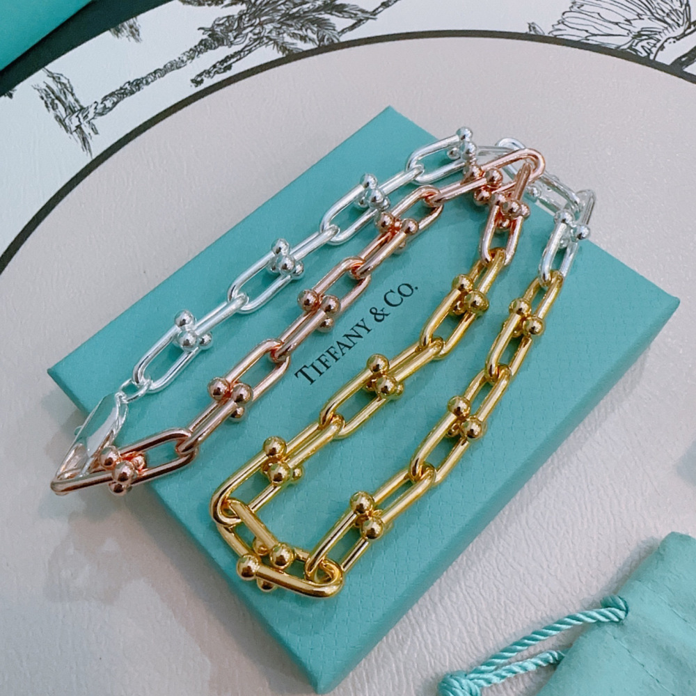Tiffany&CO  Necklace