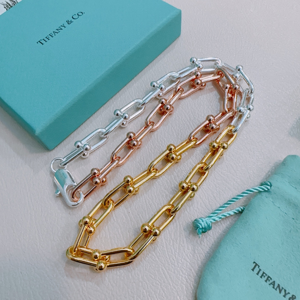 Tiffany&CO  Necklace