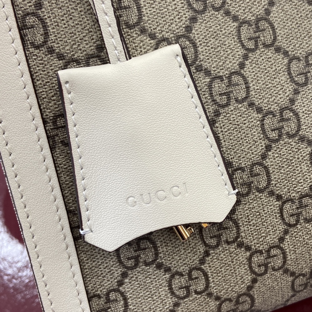 Gucci  2025 new Padlock 838991 MM Mirror Boutique