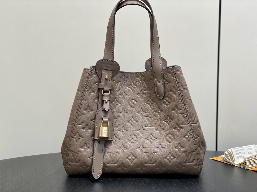 Louis Vuitton  ALL IN ONE PM M25858 Mirror boutique