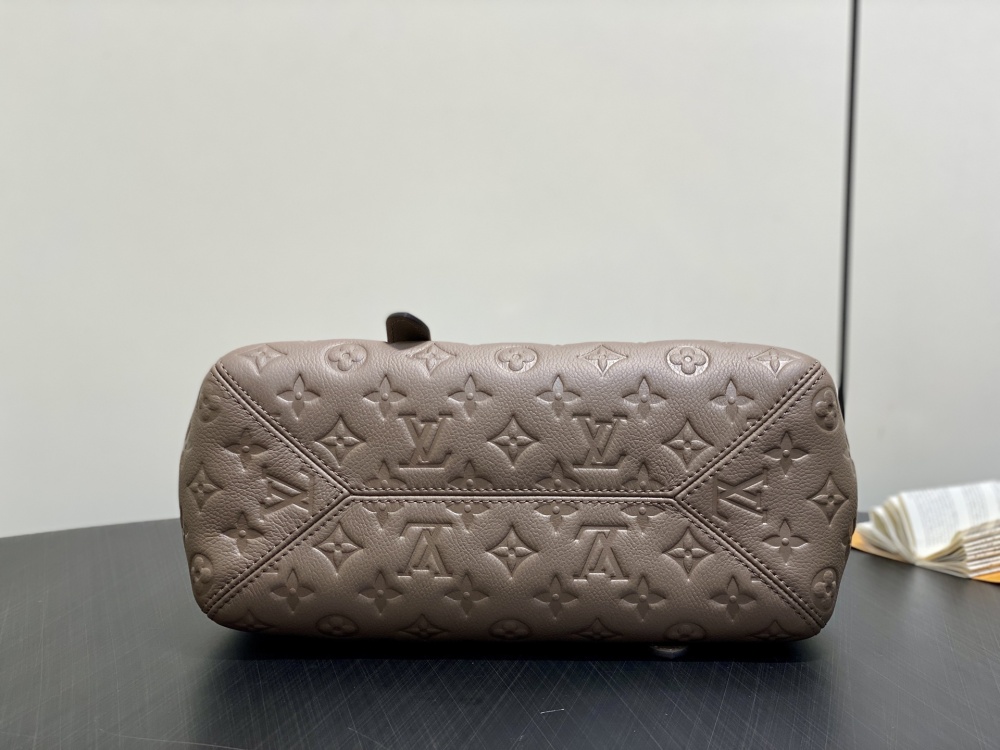 Louis Vuitton  ALL IN ONE PM M25858 Mirror boutique