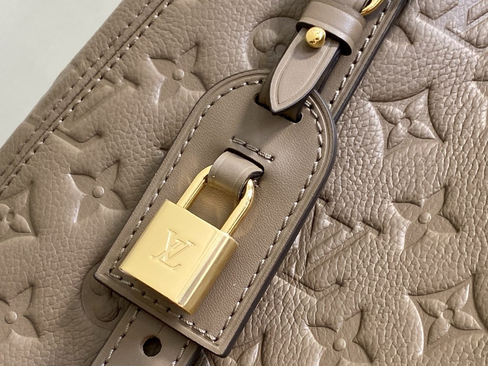 Louis Vuitton  ALL IN ONE PM M25858 Mirror boutique