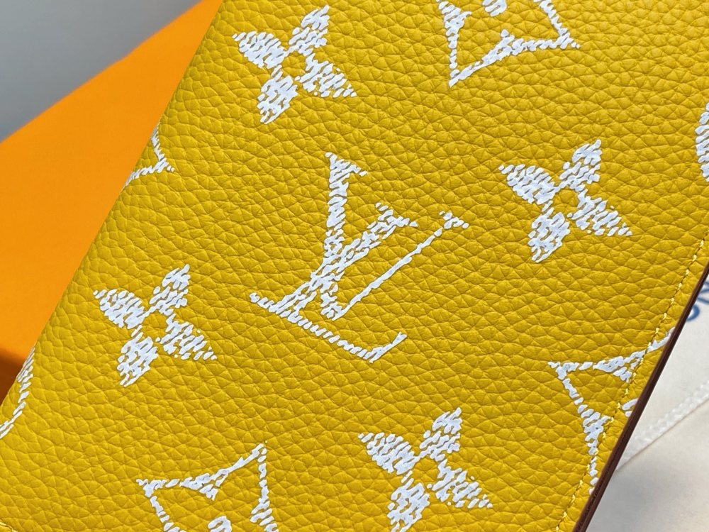 Louis Vuitton P9 Passport Cover M26059 Mirror boutique