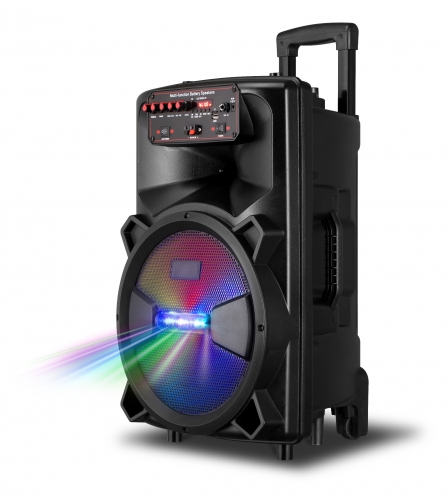 12 Inch Plastic Speaker With Trolley And Wheels