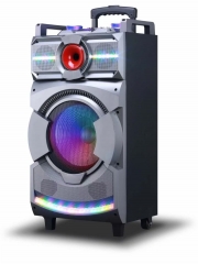 12 Inch Plastic Speaker With Trolley And Wheels