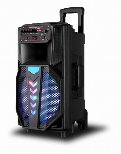 12 Inch Plastic Speaker With Trolley And Wheels