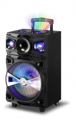 12 Inch Plastic Speaker With Trolley And Wheels