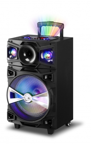 12 Inch Plastic Speaker With Trolley And Wheels