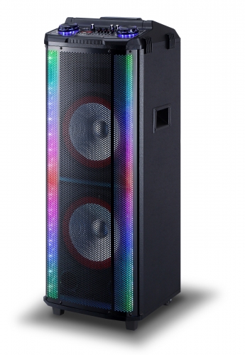 10 Inch Plastic Speaker With Trolley And Wheels