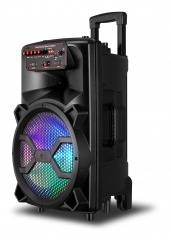12 Inch Plastic Speaker With Trolley And Wheels