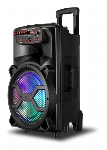 12 Inch Plastic Speaker With Trolley And Wheels
