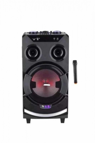 12 Inch Plastic Speaker With Trolley And Wheels