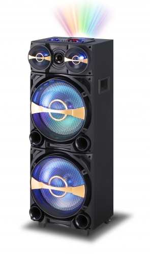 12 Inch Plastic Speaker With Trolley And Wheels