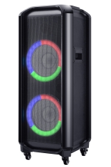 10 Inch Plastic Speaker With Handles And Four Ways Wheels