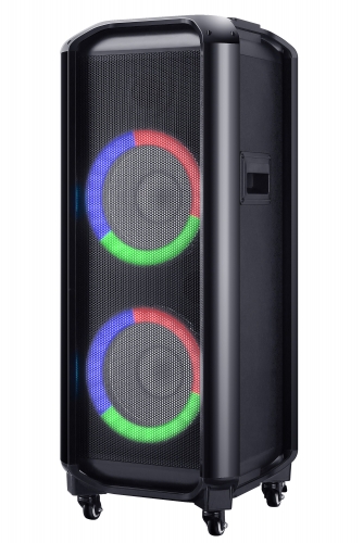 10 Inch Plastic Speaker With Handles And Four Ways Wheels
