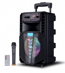 8 Inch Plastic Speaker With Trolley And Wheels