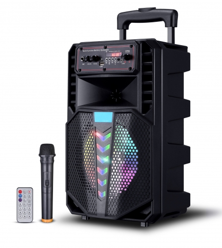 8 Inch Plastic Speaker With Trolley And Wheels