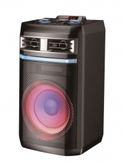 12 Inch Plastic Speaker With Trolley And Wheels