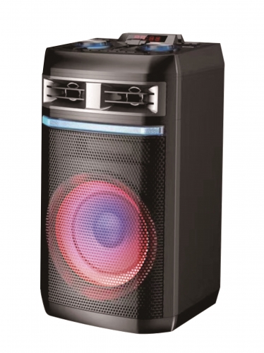 12 Inch Plastic Speaker With Trolley And Wheels
