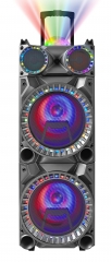 12 Inch Plastic Speaker With Trolley