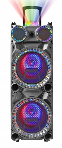 12 Inch Plastic Speaker With Trolley