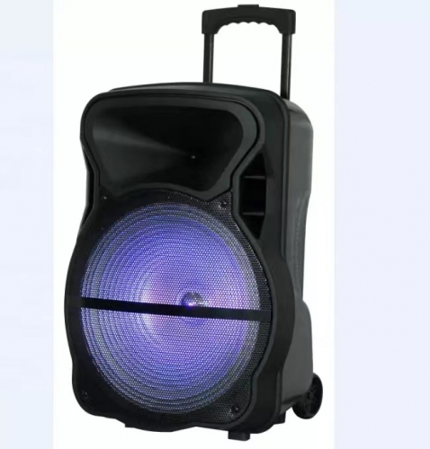 15 Inch Plastic Speaker With Trolley And Wheels