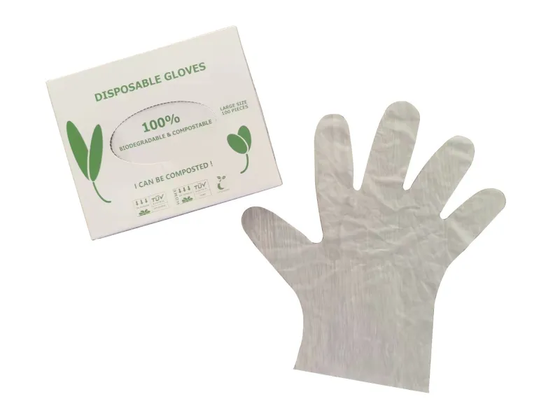 Compostable Catering Gloves Size M