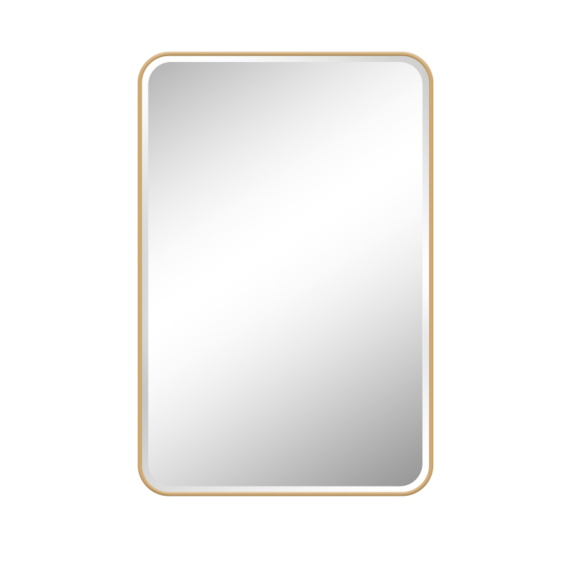 Fundin Plastic Medicine Cabinet, Beveled Edge Mirror Door with Round Corner Metal Frame, Recessed and Surface Mount, Golden,16 x 24 inch